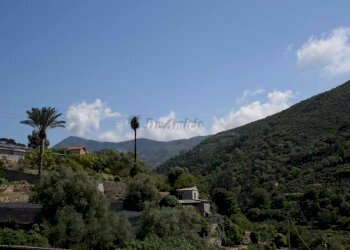 Villa via Silvio Pellico, Bordighera - photo 19
