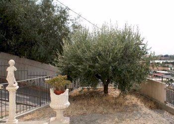 esterno - Villa via Roma Traversa I, 20, Vallecrosia - foto 17