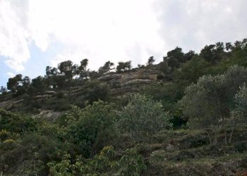 camera - Villa strada Provinciale 59, 5, Vallecrosia - foto 17