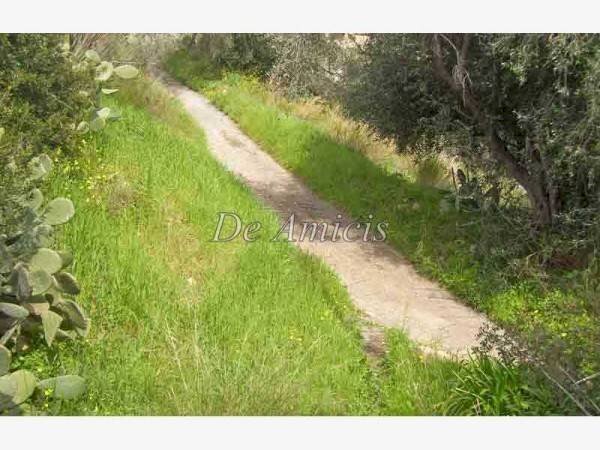 Terreno agricolo Sanremo - foto 2