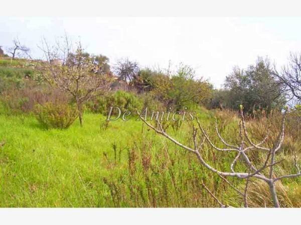 Terreno agricolo Sanremo - foto 3