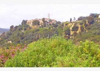 Terreno agricolo Sanremo - foto 4