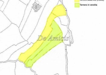 Terreno agricolo Sanremo - foto 9