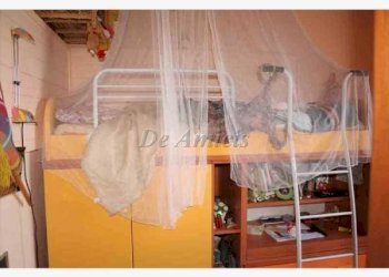 Four-room apartment Vallebona - photo 8