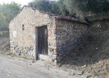 rustico - Terreno agricolo Località Villa, Perinaldo - foto 6