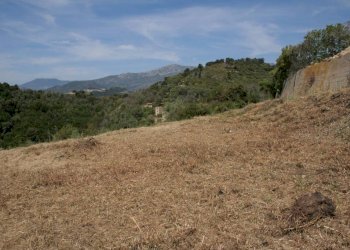 Terreno - Terreno edificabile via Martinazzi, Camporosso - foto 4