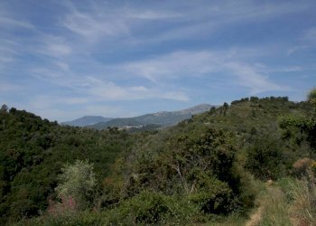 Vista - Terreno edificabile via Martinazzi, Camporosso - foto 10