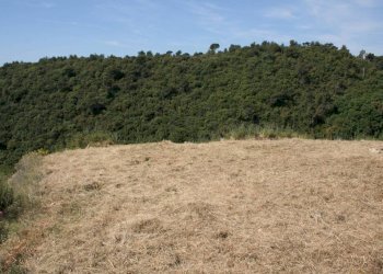 Terreno - Building land via Martinazzi, Camporosso - photo 7