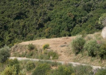 Terreno - Building land via Martinazzi, Camporosso - photo 14