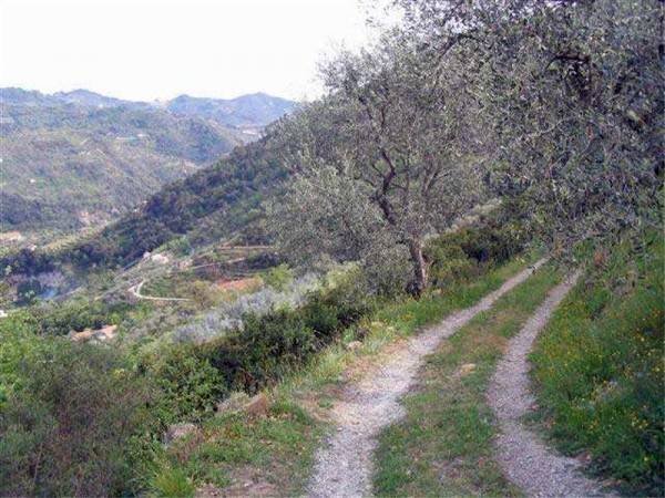 strada accesso - Terreno edificabile Dolceacqua - foto 2