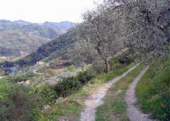 strada accesso - Terreno edificabile Dolceacqua - foto 2