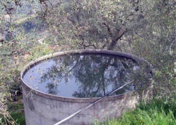 vasca - Terreno edificabile Dolceacqua - foto 4