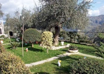 giardino - Villa Dolceacqua - photo 22