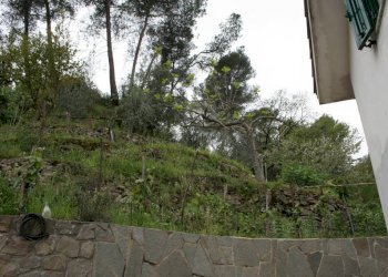 terreno - Villa via Roma, 16, San Biagio della Cima - foto 20