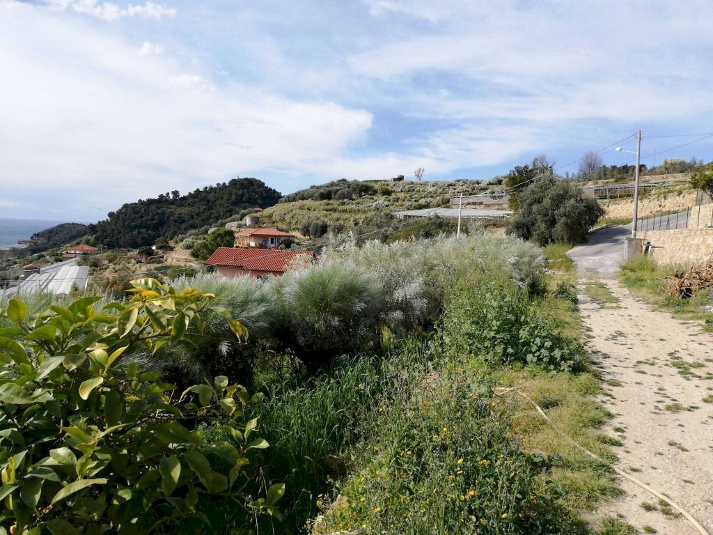 accesso terreno - Building land strada Gallina, 1, Bordighera - photo 3