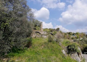 rustico - Terreno edificabile Regione Pozzuolo, Dolceacqua - foto 3
