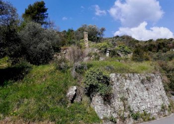 rustico - Terreno edificabile Regione Pozzuolo, Dolceacqua - foto 5