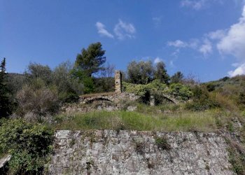 rustico - Terreno edificabile Regione Pozzuolo, Dolceacqua - foto 9