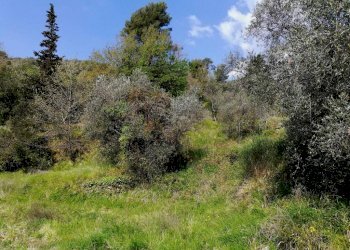 terreno - Terreno edificabile Regione Pozzuolo, Dolceacqua - foto 12