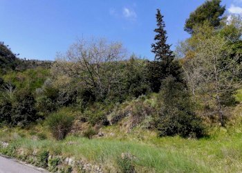 terreno - Terreno edificabile Regione Pozzuolo, Dolceacqua - foto 13