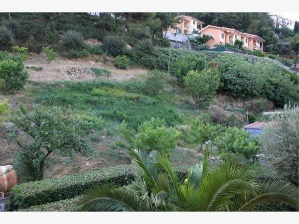 terreno - Terreno agricolo via del Fabbro, 3, Bordighera - foto 1