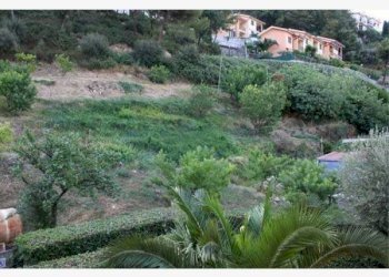 terreno - Terreno agricolo via del Fabbro, 3, Bordighera - foto 1