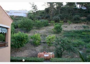 terreno - Terreno agricolo via del Fabbro, 3, Bordighera - foto 2