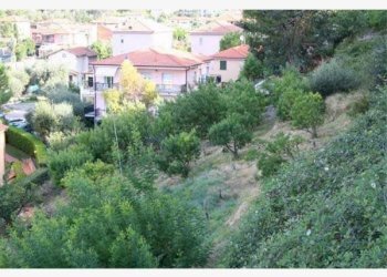 terreno - Terreno agricolo via del Fabbro, 3, Bordighera - foto 3