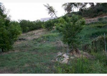 terreno - Terreno agricolo via del Fabbro, 3, Bordighera - foto 4