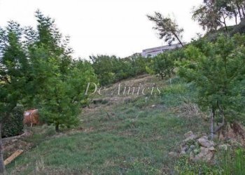 terreno - Terreno agricolo via del Fabbro, 3, Bordighera - foto 5