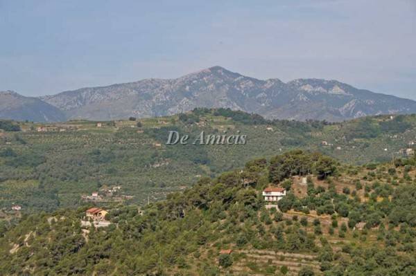 Vista  panoramica - Building land strada Provinciale 62, Dolceacqua - photo 1