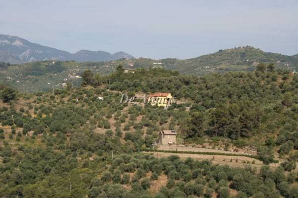 Vista panoramica - Building land strada Provinciale 62, Dolceacqua - photo 2