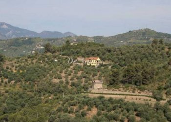 Vista panoramica - Terreno edificabile strada Provinciale 62, Dolceacqua - foto 2