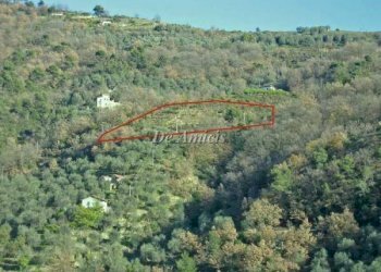 Allocazione terrenoa - Terreno edificabile strada Provinciale 62, Dolceacqua - foto 5