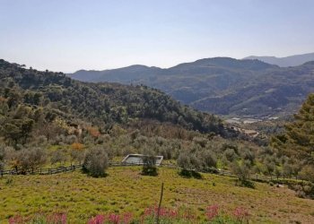 tenuta - Commercial Activity via Annunziata, 22, San Biagio della Cima - photo 12