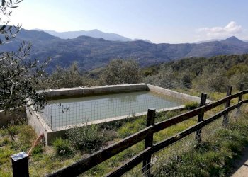 vasca irrigua - Commercial Activity via Annunziata, 22, San Biagio della Cima - photo 13