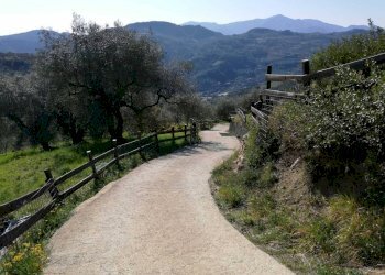 strada interna - Commercial Activity via Annunziata, 22, San Biagio della Cima - photo 14