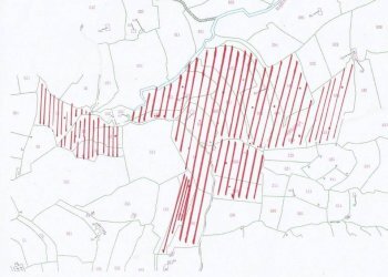 planimetria generale - Commercial Activity via Annunziata, 22, San Biagio della Cima - photo 17