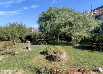 GIARDINO - Villa Località Nofea, Vallecrosia - foto 12