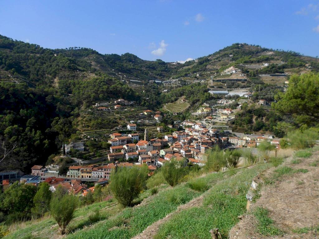 vista Soldano - Agricultural land via San Martino, Soldano - photo 3