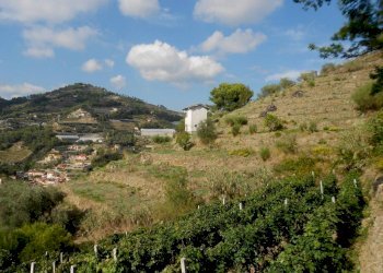 terreno + casa - Agricultural land via San Martino, Soldano - photo 1