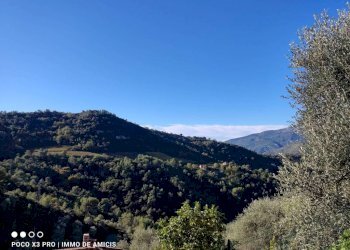 vista - Rustico Camporosso - foto 25