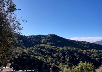 vista - Rustico Camporosso - foto 26