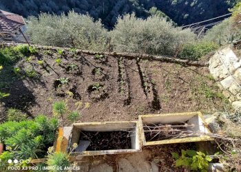 orto - Rustico Camporosso - foto 27