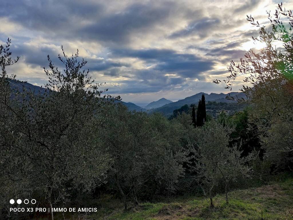 Vista - Building land Località Zuardo, Perinaldo - photo 1