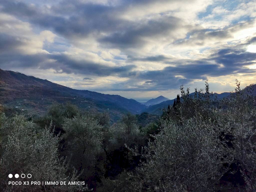 Vista - Building land Località Zuardo, Perinaldo - photo 3