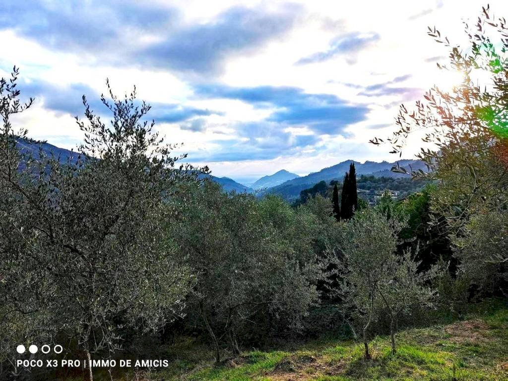 Terreno - Terreno edificabile Località Zuardo, Perinaldo - foto 1