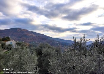 Vista - Terreno edificabile Località Zuardo, Perinaldo - foto 2