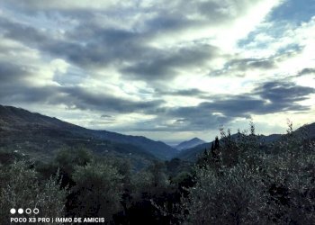 Vista - Terreno edificabile Località Zuardo, Perinaldo - foto 4