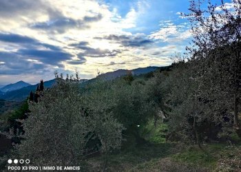 Vista - Terreno edificabile Località Zuardo, Perinaldo - foto 5
